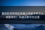 蘑菇影视官网的音量与亮度手势怎么调更顺手？关键点都写在这里