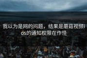 我以为是网的问题，结果是蘑菇视频ios的通知权限在作怪