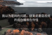 我以为是网的问题，结果是蘑菇视频的后台播放在作怪