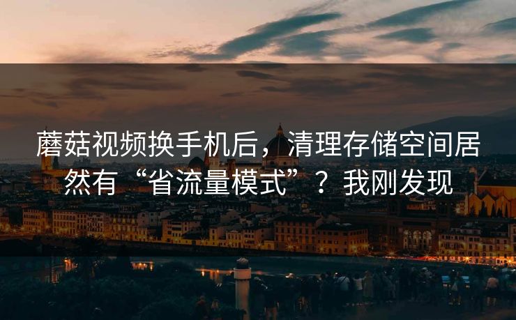 蘑菇视频换手机后，清理存储空间居然有“省流量模式”？我刚发现