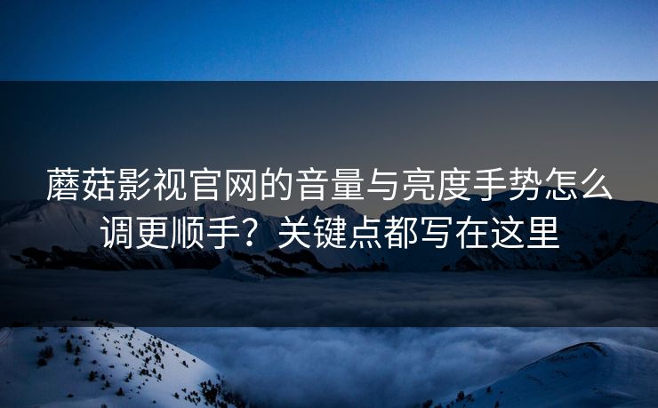 蘑菇影视官网的音量与亮度手势怎么调更顺手？关键点都写在这里