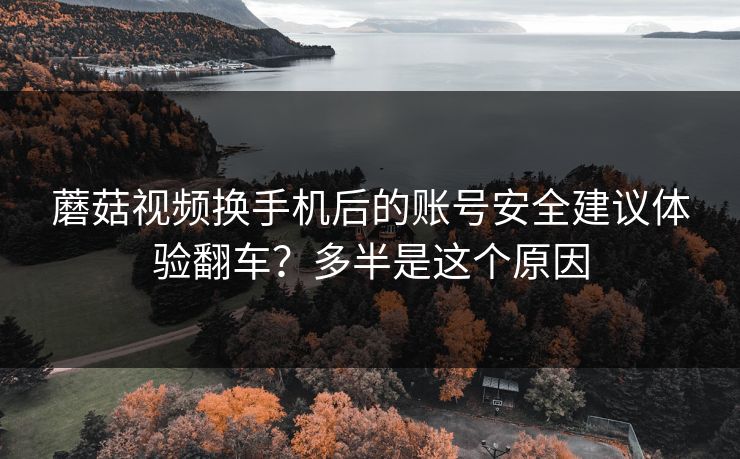 蘑菇视频换手机后的账号安全建议体验翻车？多半是这个原因