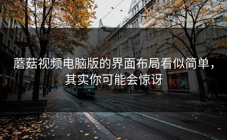 蘑菇视频电脑版的界面布局看似简单，其实你可能会惊讶