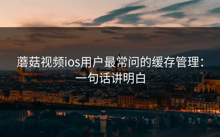 蘑菇视频ios用户最常问的缓存管理：一句话讲明白