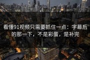看懂91视频只需要抓住一点：字幕后的那一下，不是彩蛋，是补完