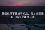 蘑菇视频下载换手机后，我才发现使用门槛原来能这么调