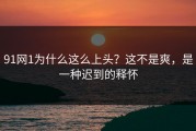 91网1为什么这么上头？这不是爽，是一种迟到的释怀