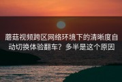 蘑菇视频跨区网络环境下的清晰度自动切换体验翻车？多半是这个原因
