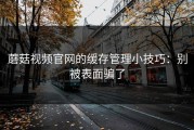 蘑菇视频官网的缓存管理小技巧：别被表面骗了