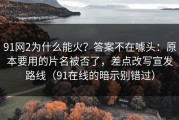 91网2为什么能火？答案不在噱头：原本要用的片名被否了，差点改写宣发路线（91在线的暗示别错过）