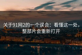 关于91网2的一个误会：看懂这一处，整部片会重新打开