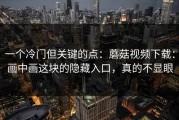 一个冷门但关键的点：蘑菇视频下载：画中画这块的隐藏入口，真的不显眼