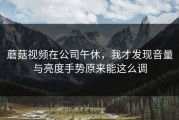 蘑菇视频在公司午休，我才发现音量与亮度手势原来能这么调