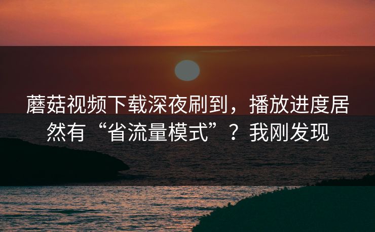 蘑菇视频下载深夜刷到，播放进度居然有“省流量模式”？我刚发现