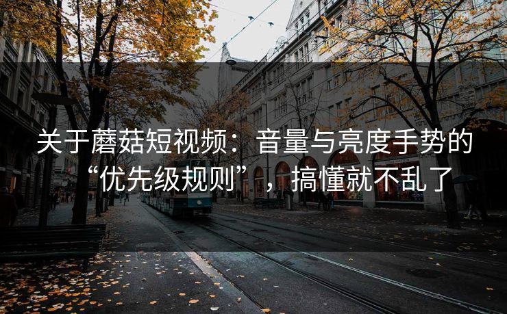 关于蘑菇短视频：音量与亮度手势的“优先级规则”，搞懂就不乱了