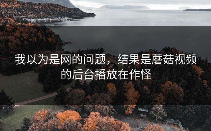 我以为是网的问题，结果是蘑菇视频的后台播放在作怪