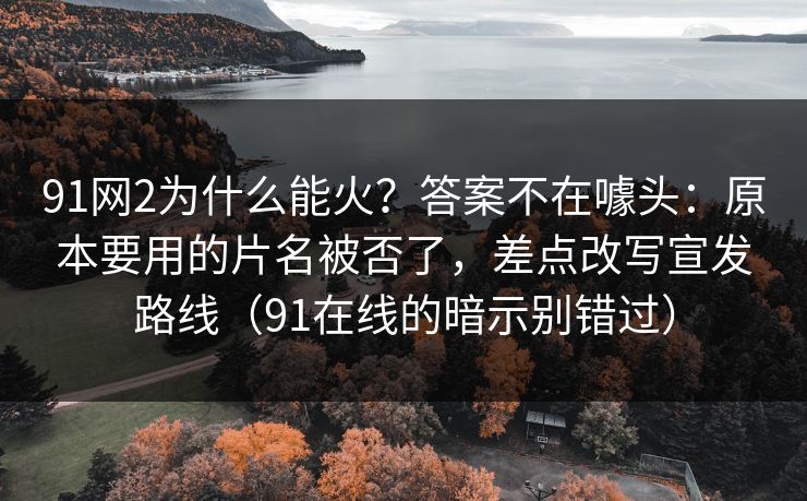 91网2为什么能火？答案不在噱头：原本要用的片名被否了，差点改写宣发路线（91在线的暗示别错过）