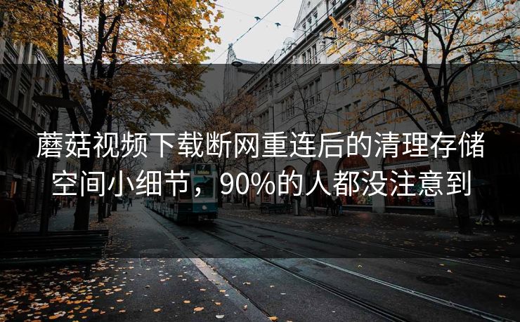 蘑菇视频下载断网重连后的清理存储空间小细节，90%的人都没注意到