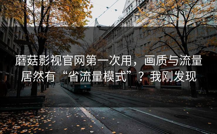 蘑菇影视官网第一次用，画质与流量居然有“省流量模式”？我刚发现