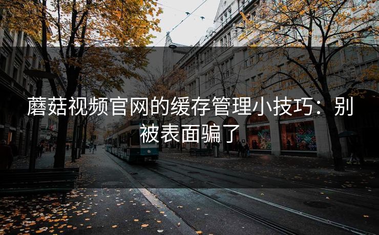 蘑菇视频官网的缓存管理小技巧：别被表面骗了