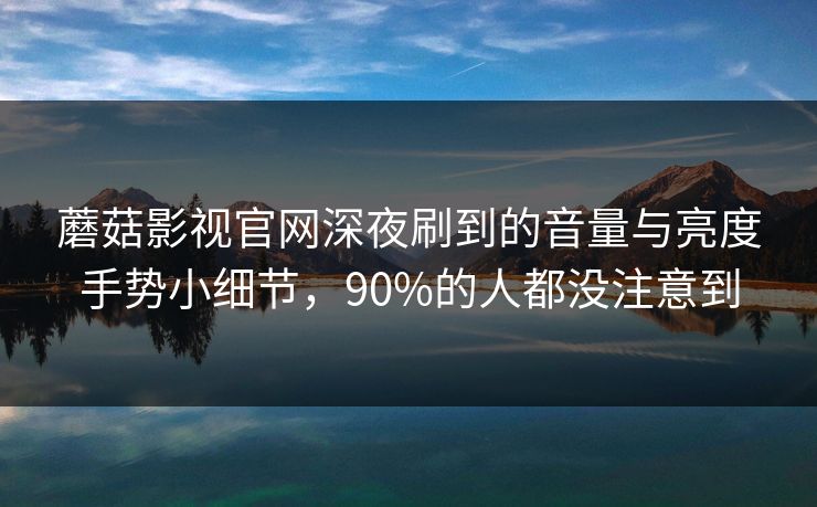 蘑菇影视官网深夜刷到的音量与亮度手势小细节，90%的人都没注意到