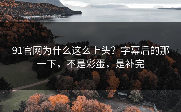 91官网为什么这么上头？字幕后的那一下，不是彩蛋，是补完